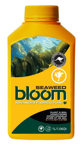 Bloom Yellow Bottle - Seaweed