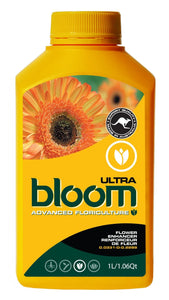 Bloom Yellow Bottle - Ultra