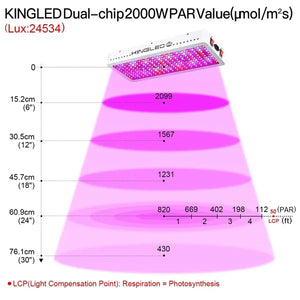 KingLED King Plus 2000W Double Chips LED Grow Light Full Spectrum for Greenhouse and Indoor Plant Flowering Growing (10w LEDs)