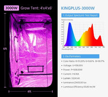 KingLED King Plus 3000W Double Chips LED Grow Light Full Spectrum for Greenhouse and Indoor Plant Flowering Growing (10w LEDs)