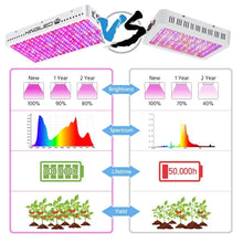 KingLED King Plus 3000W Double Chips LED Grow Light Full Spectrum for Greenhouse and Indoor Plant Flowering Growing (10w LEDs)