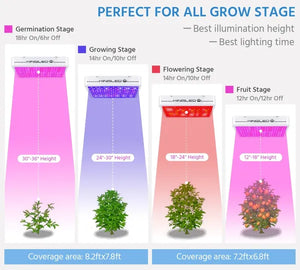 KingLED King Plus 3000W Double Chips LED Grow Light Full Spectrum for Greenhouse and Indoor Plant Flowering Growing (10w LEDs)