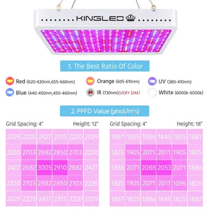 KingLED King Plus 3000W Double Chips LED Grow Light Full Spectrum for Greenhouse and Indoor Plant Flowering Growing (10w LEDs)