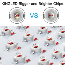 KingLED King Plus 4000W Double Chips LED Grow Light Full Spectrum for Greenhouse and Indoor Plant Flowering Growing (10w LEDs)