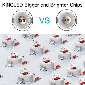 KingLED King Plus 4000W Double Chips LED Grow Light Full Spectrum for Greenhouse and Indoor Plant Flowering Growing (10w LEDs)