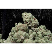TrimWorkz Ultimate Dry Trimmer | YourGrowDepot.com