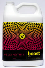 Vegamatrix - Boost 1-0-1 Cal Mag